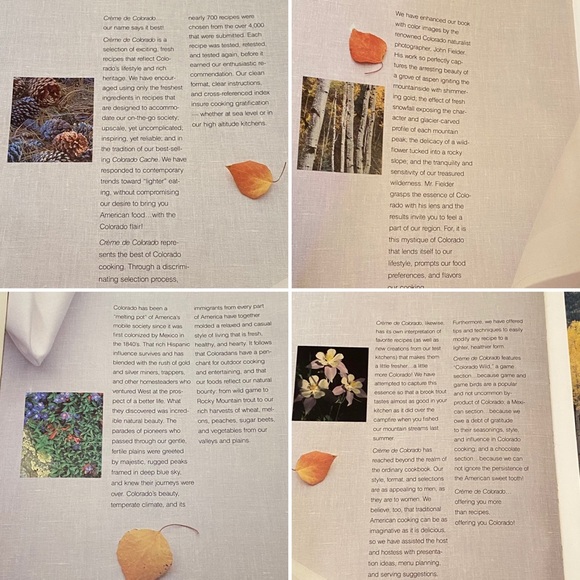 Crème de Colorado Cookbook - The Junior League of Denver, Incorporated - Picture 9 of 16